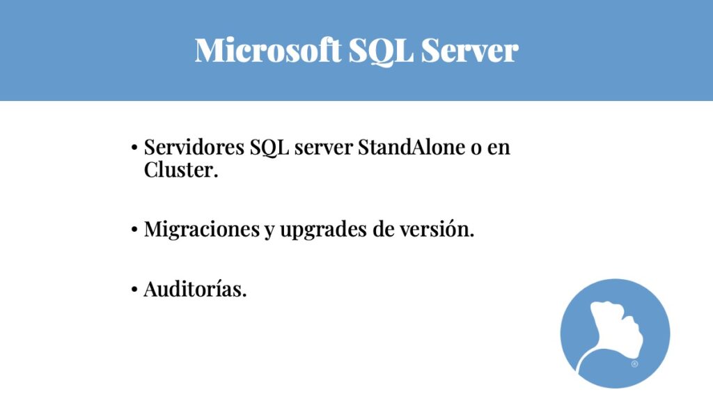Consultora experta en Microsoft y Azure: Encora, tu Partner de Servicios Microsoft en 2025 de confianza.