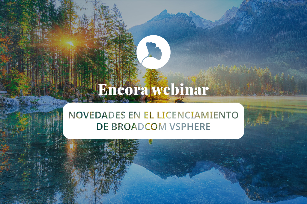 Licenciamiento de Broadcom Vsphere